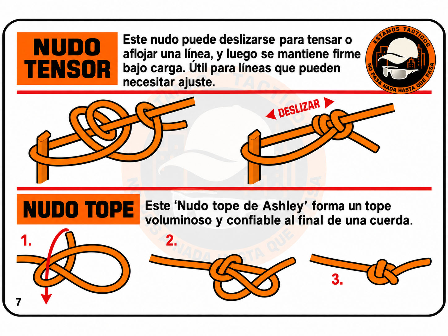 Nudo tensor y nudo tope de Ashley
